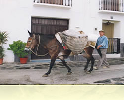 Alpujarra accommodation