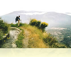 Tracking on walking pathways in the Alpujarra valley, Granada