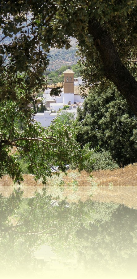 View on Mairena